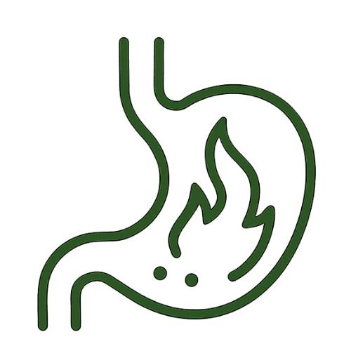 Digestive health icon representing gut balance and stomach care support.
