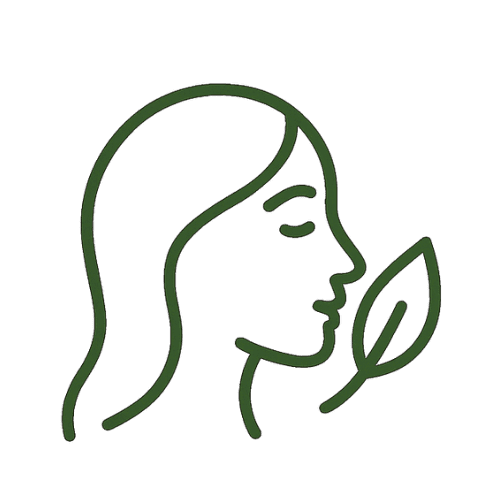 Illustration of women’s wellness with leaf, symbolizing natural balance and self-care.