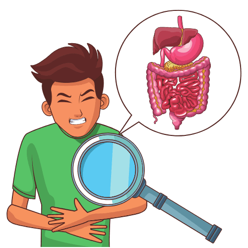 Illustration of a man holding his stomach with a visual of digestive organs, representing gut discomfort and digestive imbalance