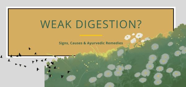 Images showing weak digestion? Signs, Causes and remedies.