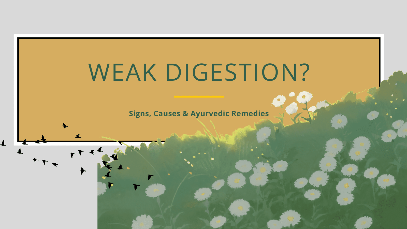 Images showing weak digestion? Signs, Causes and remedies.